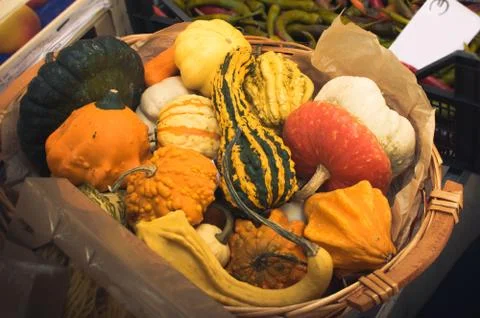 Pumpkins chest Stock Photos