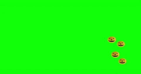 Pumpkins on chroma key background for cutting. Stock Footage 208953756
