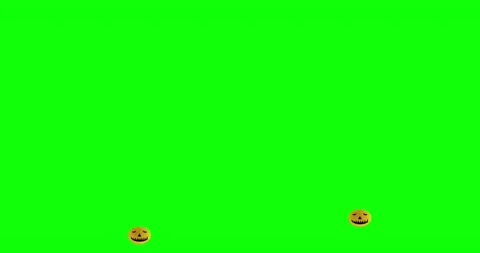 Pumpkins on chroma key background for cutting. Stock Footage 208953761