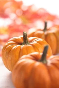 Pumpkins close-up Stock Photos