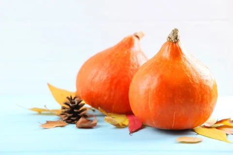 Pumpkins on a colored background. Thanksgiving background. Autumn background. Stock Photos