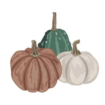 Pumpkins composition isolated on white. Cozy small gourds autumn decoration.  Stock Illustration