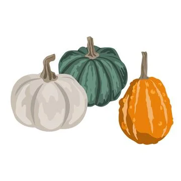Pumpkins composition isolated on white. Cozy small gourds autumn decoration.  Stock Illustration