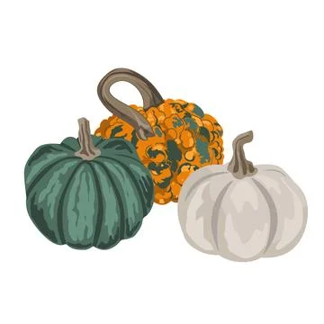 Pumpkins composition isolated on white. Cozy small gourds autumn decoration.  Stock Illustration