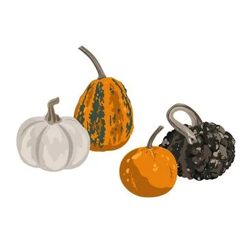 Pumpkins composition isolated on white. Cozy small gourds autumn decoration.. Stock Illustration