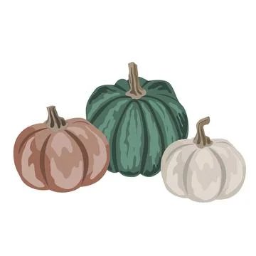 Pumpkins composition isolated on white. Cozy small gourds autumn decoration.  Stock Illustration