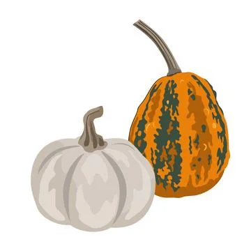 Pumpkins composition isolated on white. Cozy small gourds autumn decoration.. Stock Illustration