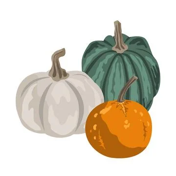Pumpkins composition isolated on white. Cozy small gourds autumn decoration.. Stock Illustration