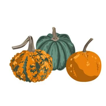 Pumpkins composition isolated on white. Cozy small gourds autumn decoration.  Stock Illustration