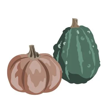Pumpkins composition isolated on white. Cozy small gourds autumn decoration.  Stock Illustration