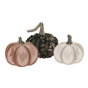 Pumpkins composition isolated on white. Cozy small gourds autumn decoration.  Stock Illustration