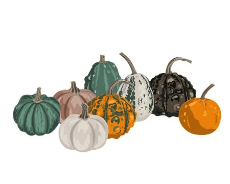 Pumpkins composition isolated on white. Cozy small gourds autumn decoration.. Stock Illustration