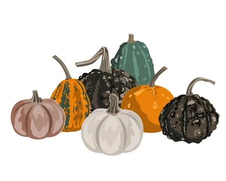 Pumpkins composition isolated on white. Cozy small gourds autumn decoration.. Stock Illustration
