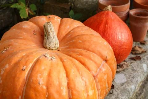 Pumpkins on the coping of a well Stock Photos