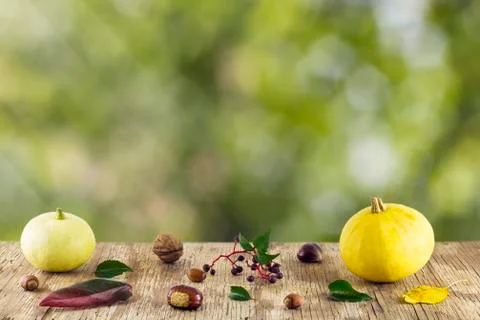 Pumpkins with copyspace Stock Photos