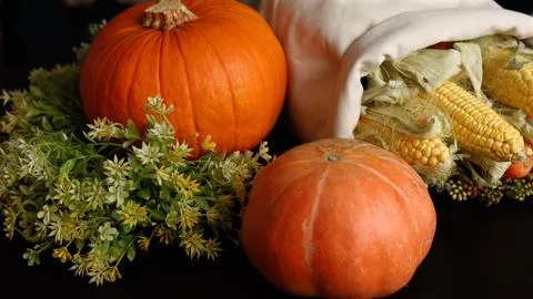 Pumpkins, corn, greenery evoke cozy autumn harvest. Warm festive scene, rustic Stock Photos