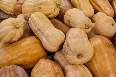Pumpkins on the counter of a vegetable store Stock-Fotos