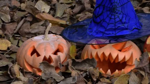 Pumpkins with creepy faces and witch hat in golden autumn leaves   . Halloween Stock Footage 253990744