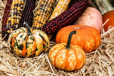 Pumpkins decoration  mix Fotos Stock