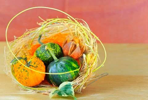 Pumpkins decoration Stock Photos