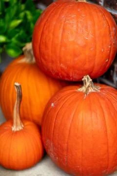Pumpkins Decoration Stock Photos