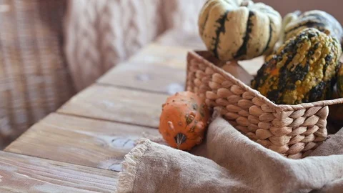 Pumpkins of different color Stockbeeldmateriaal 118216013