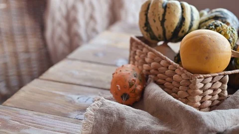 Pumpkins of different color Stock Footage 118216213