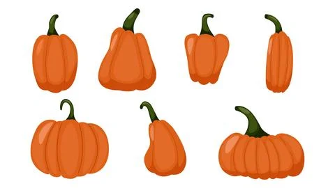 Pumpkins of different shape set. background autumn Stock Illustration