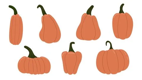 Pumpkins of different shape set. background autumn Stock Illustration