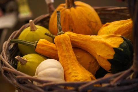 Pumpkins of different shapes lying in a wicker basket close-up 스톡 사진