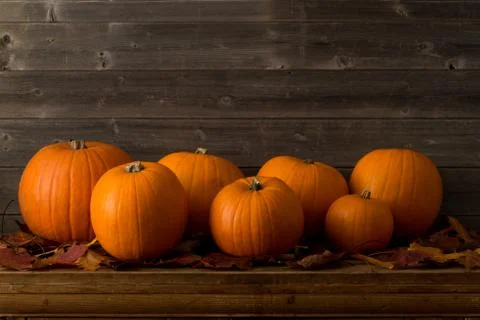 Pumpkins of Different Sizes on Dried Leaves with Copy Space Stock Photos