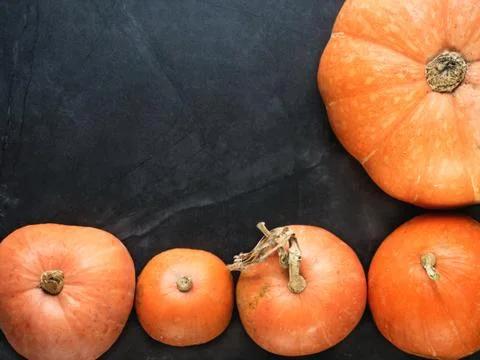 Pumpkins of different sizes Stock Photos