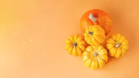 Pumpkins of different varieties.Orange background.copy space. Autumn postcard Stock Illustration