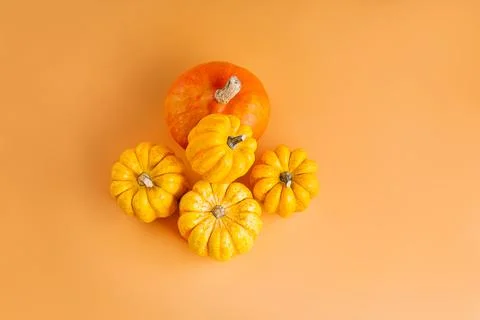 Pumpkins of different varieties.Orange background.copy space. Autumn postcard Stock Photos