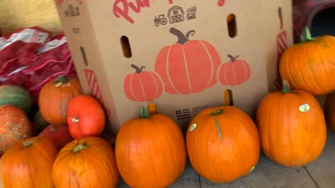 Pumpkins on Display Storefront Halloween 스톡 동영상 218245107