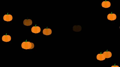 Pumpkins emerging from black background Stock Footage 161129051