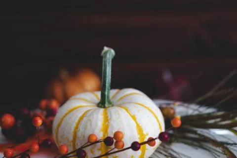 Pumpkins with fall foliage in front of a dark wooden background. Stock Photos