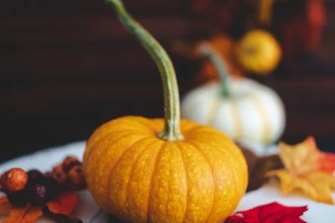 Pumpkins with fall foliage in front of a dark wooden background. Stock Photos