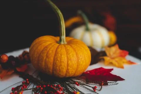 Pumpkins with fall foliage in front of a dark wooden background. Stock Photos