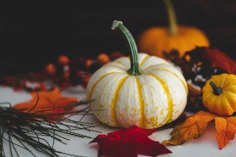 Pumpkins with fall foliage in front of a dark wooden background. Stock Photos