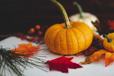 Pumpkins with fall foliage in front of a dark wooden background. Stock Photos