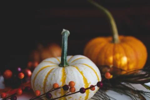 Pumpkins with fall foliage in front of a dark wooden background. Stock Photos