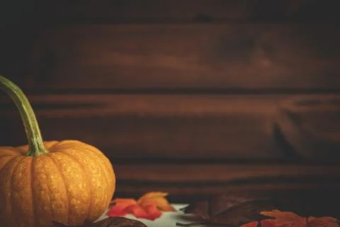Pumpkins with fall foliage in front of a dark wooden background. Stock Photos