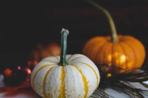 Pumpkins with fall foliage in front of a dark wooden background. Stock Photos