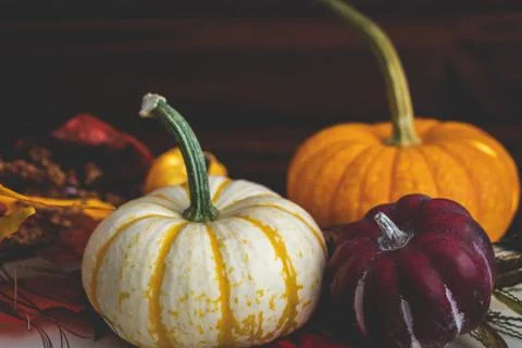 Pumpkins with fall foliage in front of a dark wooden background. Stock Photos