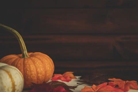 Pumpkins with fall foliage in front of a dark wooden background. Stock Photos