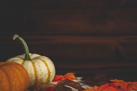 Pumpkins with fall foliage in front of a dark wooden background. Stock Photos