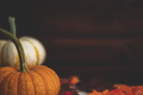 Pumpkins with fall foliage in front of a dark wooden background. Stock Photos