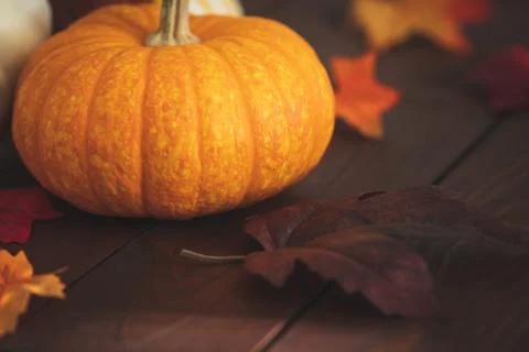 Pumpkins with fall foliage in front of a dark wooden background. Stock Photos