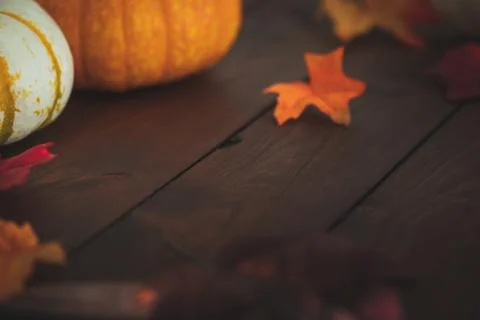 Pumpkins with fall foliage in front of a dark wooden background. Stock Photos
